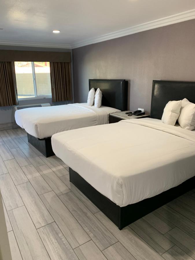Willow Tree Inn & Suites 洛杉矶 外观 照片